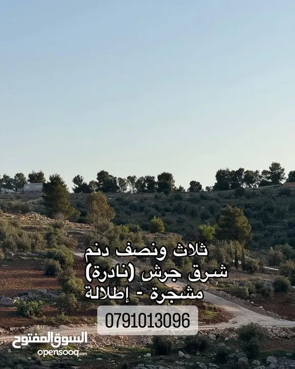 للبيع ثلاث ونصف دنم منطقة نادرة شرق جرش مشجرة زيتون على ثلاث شوارع
