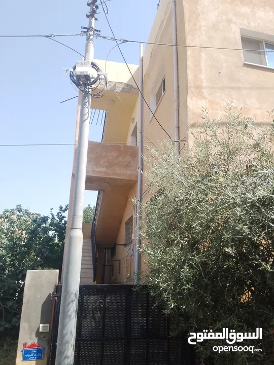 بيوت   طابقين   واحدة شقتين    والثانية ثلاث شقق