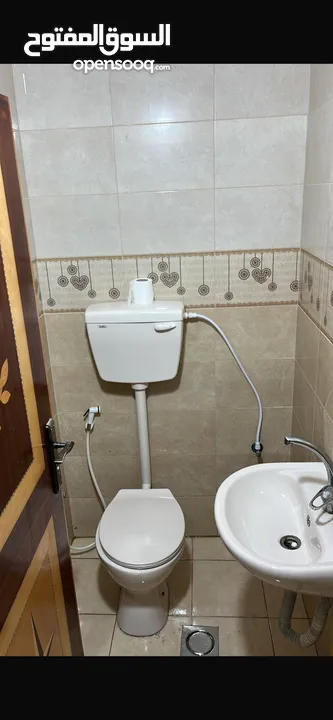 شقة للايجار