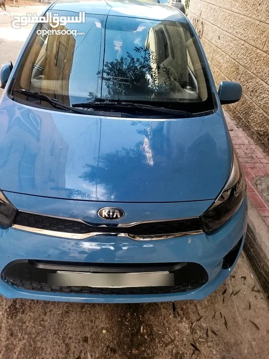 بصمه فل فحص نخب19