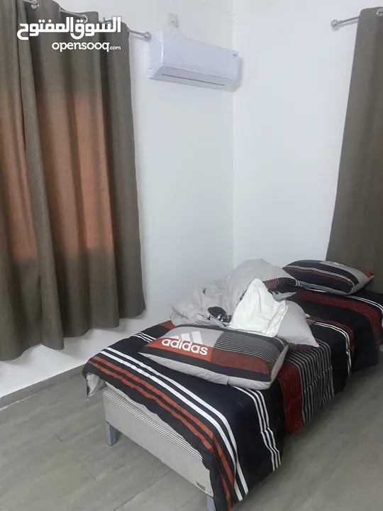 صهيب الربيع