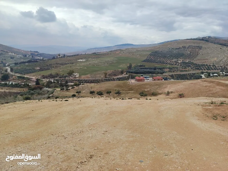 قطعة ارض مطلة ومرتفعه مساحة 4 دونم اتفي القنية مقابل مطاعم السمك ومنتجع تل الورد