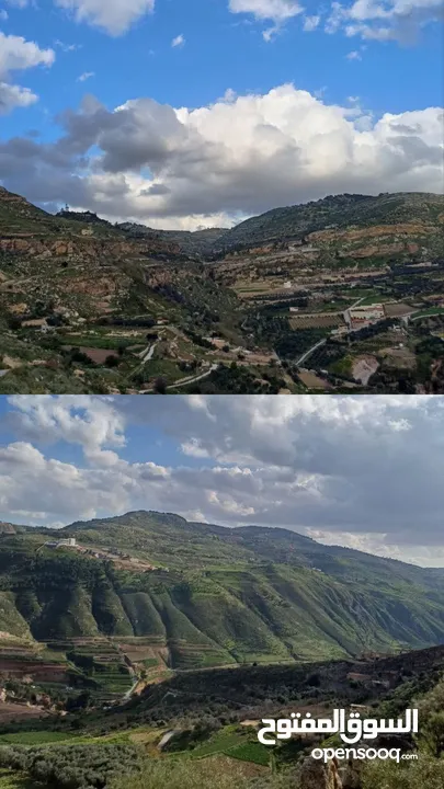 مزرعة مميزة في   البحاث و وادي الشتاء السياحي على اعلى قمة و مخدومة بالكامل ومروية من نبع البحاث