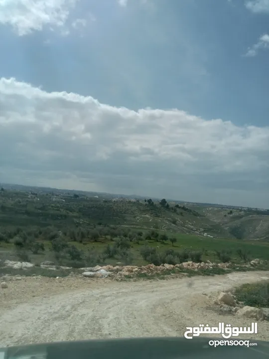 ارض سكنيه قرب مثلث حور فوعرا للبيع بسعر مغري