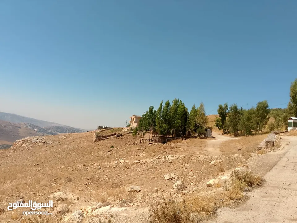 للبيع 4دونم السلط حوض الفزره قرب السرو مستويه مطله جميله بسعر مغري جدا جدا