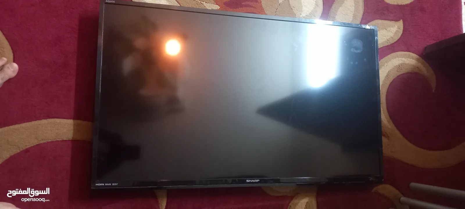 شاشتين شارب