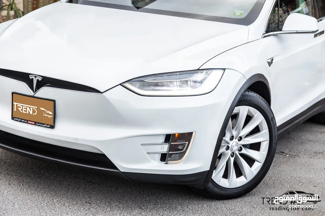 Tesla Model X 100D  2018