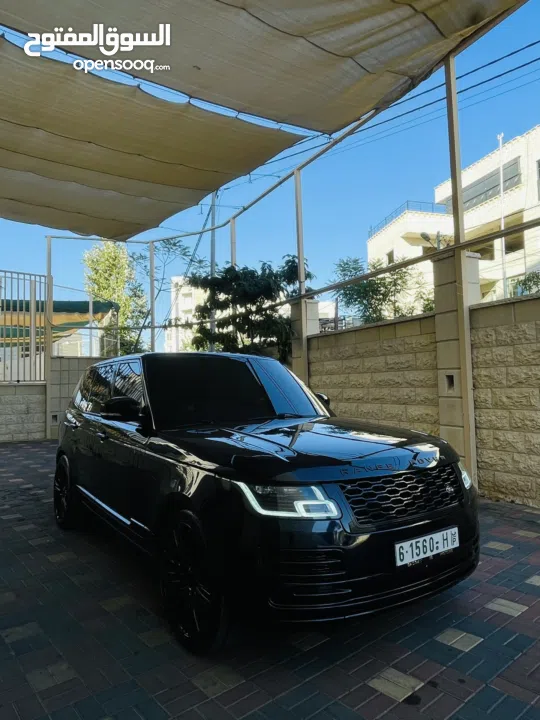 قصي ابو معلا