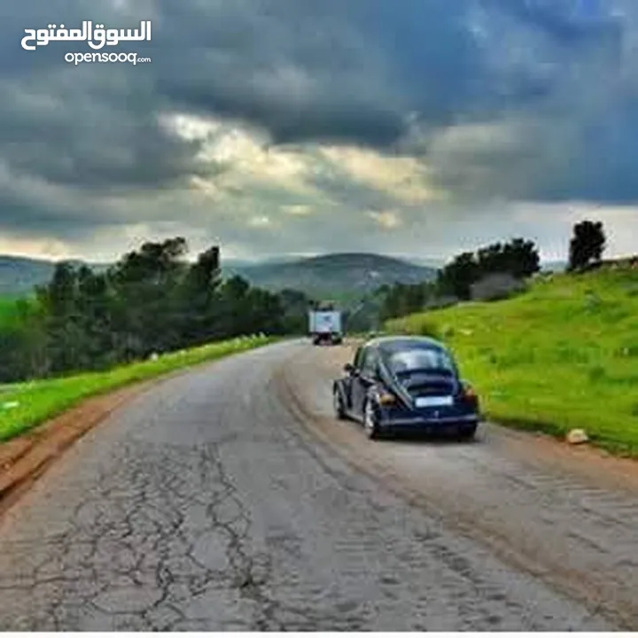 فرصتك الان للاستثمار في طلوزة قرب شلالات الباذان ارض كوشان مستقل صادر عن سلطة الاراضي  ,,,, تصنيف A