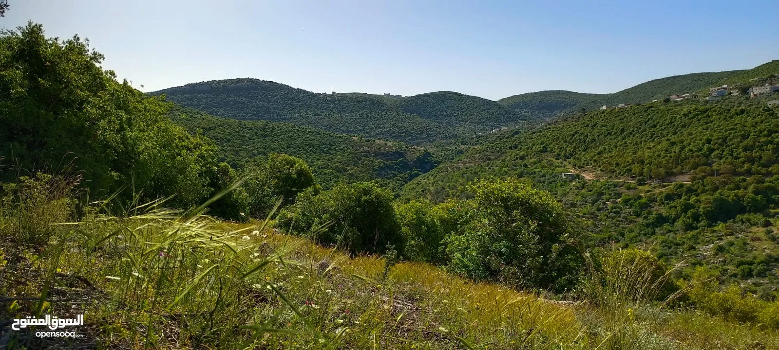 مزرعه مع بيت راقيه راس منيف موقع مميز مطله و بسعر مغري جدا