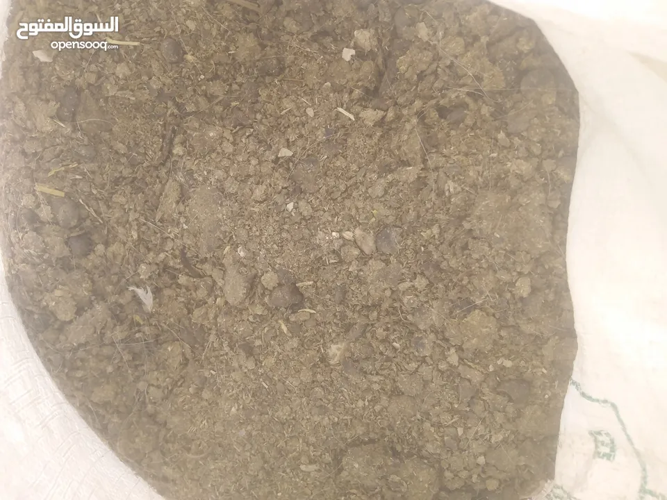 زبل غنم سماد للحدائق والاشجار نصف دينار