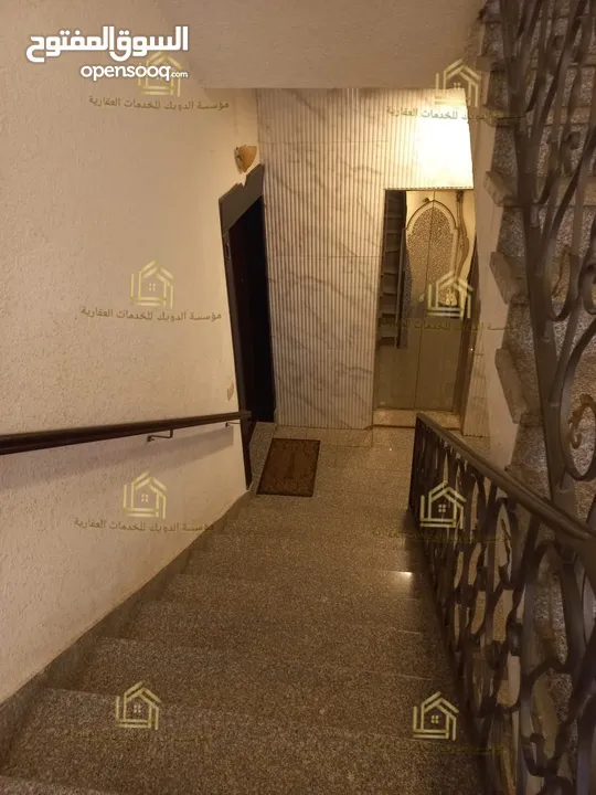 شقة فارغة - دابوق - 3نوم - ترسات - حديقة - مدخل مستقل - قرب الخدمات - موقع هادئ ومميز