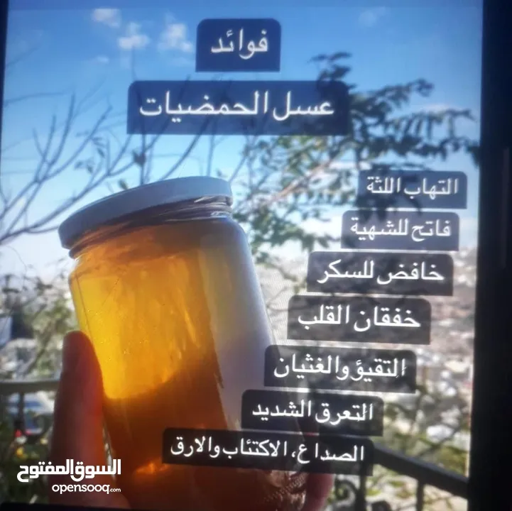 عسل طبيعي 100% وجميع منتجات النحل شركة كاشور للعسل الطبيعي تقدم لكم الأفضل دائما