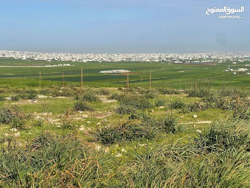ارض للبيع حوض الجبيل وارض حوض ام الابار جنوب شارع الصوامع وقرب مدارس الجسور متوفر اكثر من قطعة