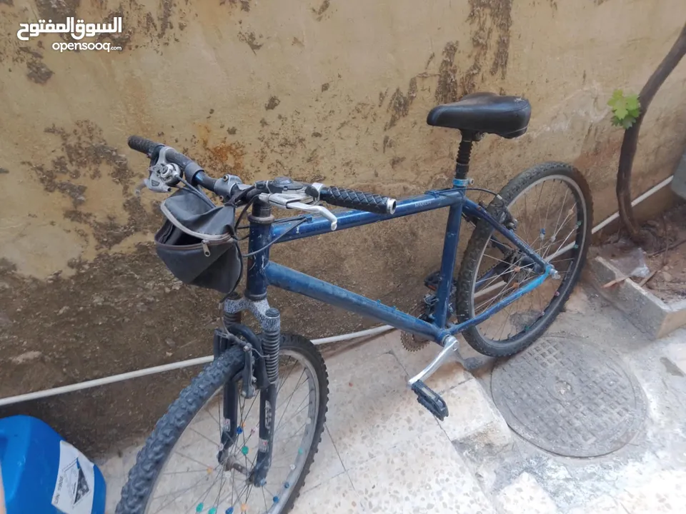 بسكليت للبيع