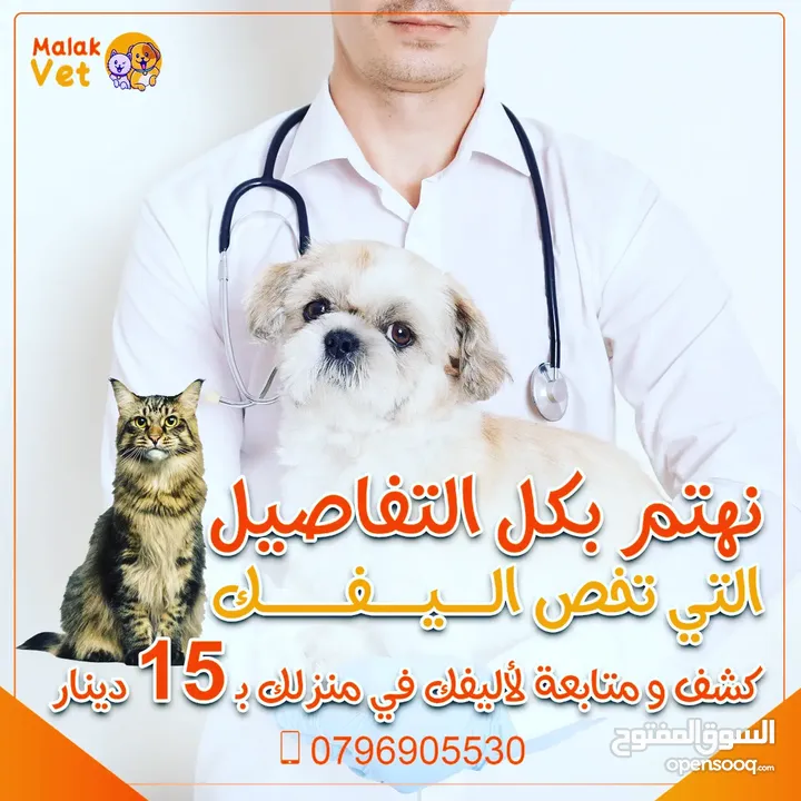 خدمات بيطرية متكاملة للحيوانات الاليفة