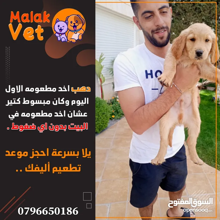 خدمات بيطرية متكاملة للحيوانات الاليفة