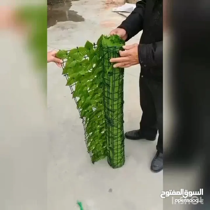 شبك ورق الشجر الأخضر الأصلي