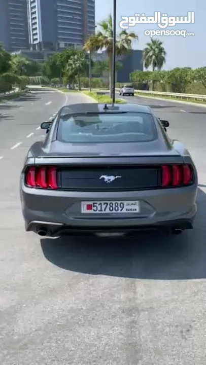 2021 ecoboost mustang