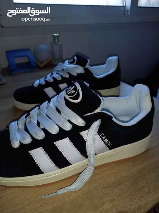 adidas campus جديد يتانمي نمرة 42 سبب  البيع كبير