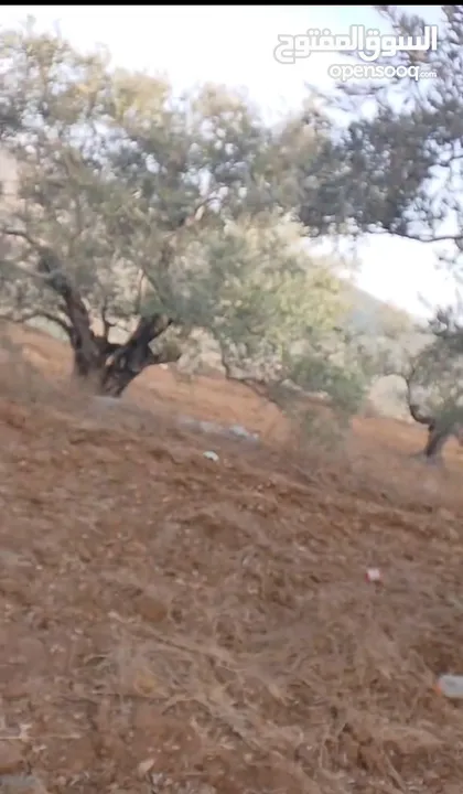 قطعة لرض للبيع