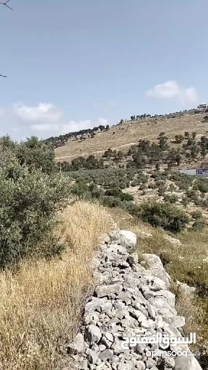 أرض ع الشارع الرئيسي لكل الاستخدامات