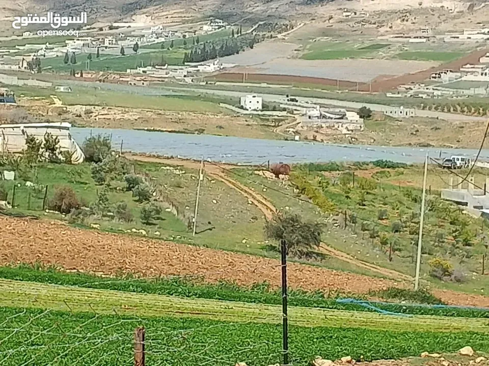 ارض بالنصارية