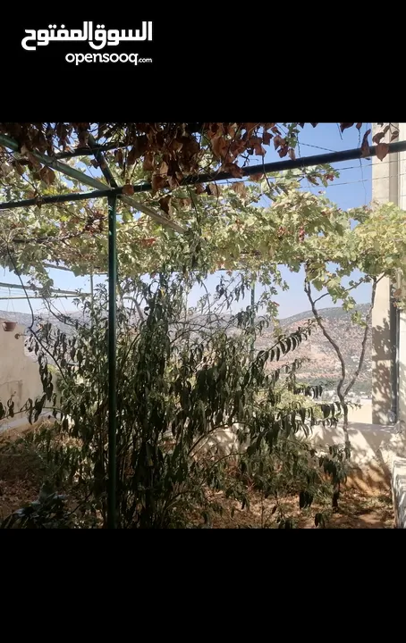 بيت مستقل طابقين / أجمل اطلالة على جبال عجلون في لواء كفرنجه ( اقرأ الوصف بالإعلان)...