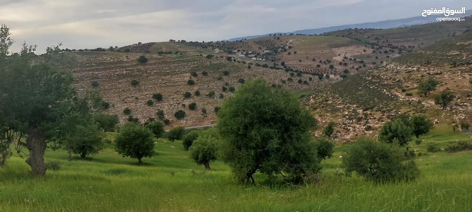 الكمشه حوض المكمان 3405 م على شارعين اطلاله شماليه غربيه رائعه مستصلحه ومسوره قرب الخدمات
