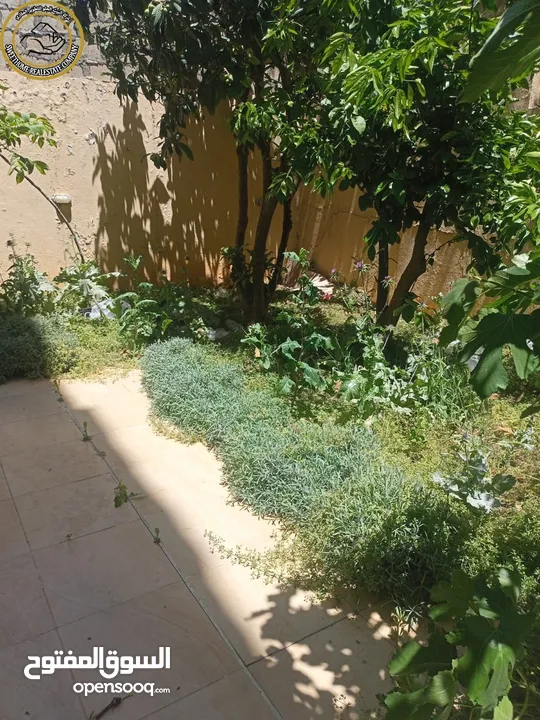 شقة مميزة للبيع في عبدون الشمالي  - خلف المركز العربي 225م مع حديقة وترسات 210م بسعر مغري