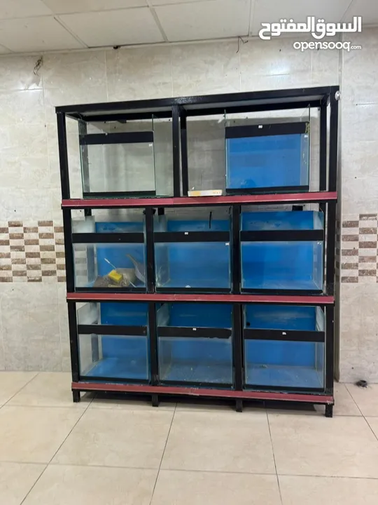 واجهه احواض سمك للبيع