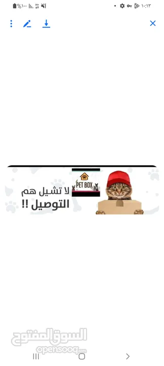 طعام قطط + رمل