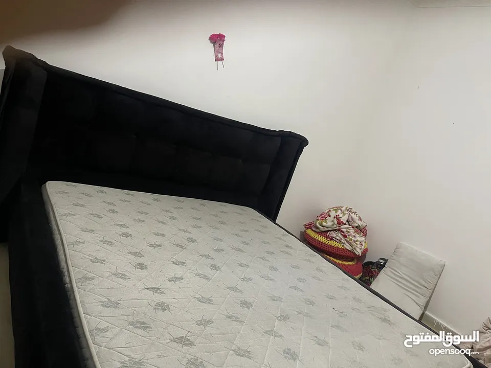 تخت مجوز كبير
