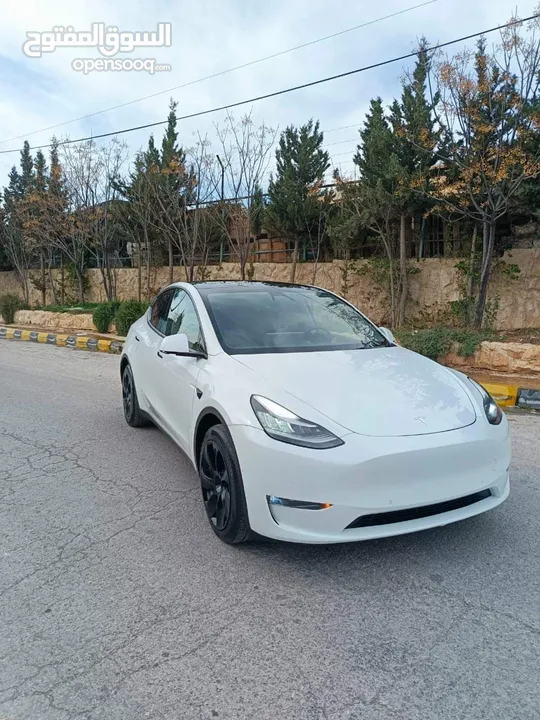 Tesla Model Y 2021 Dual Motor