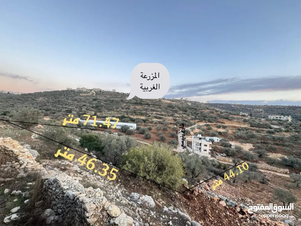 ارض للبيع في المزرعة الغربية تنازل فوري