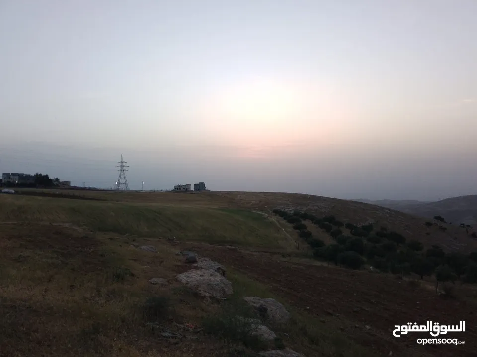 مادبا ماعين المشرفة قطعة ارض زراعية مميزة واصل الخدمات ذات اطلالة على البحر الميت واصل الخدمات
