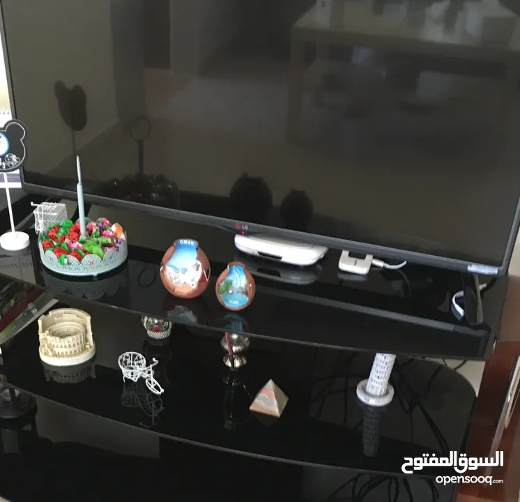 شقة مفروشة للايجار
