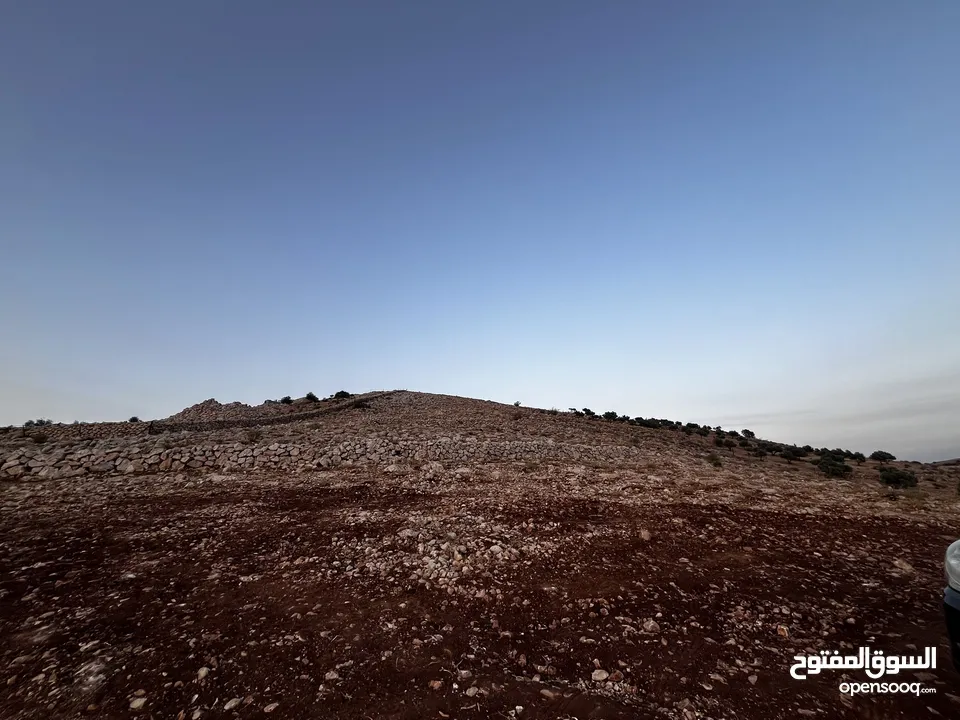 تملك الان فرصة العمر قطعة ارض من اراضي غرب عمان مطلة على فلسطين و الاغوار و البحر الميت و سد الكفرين