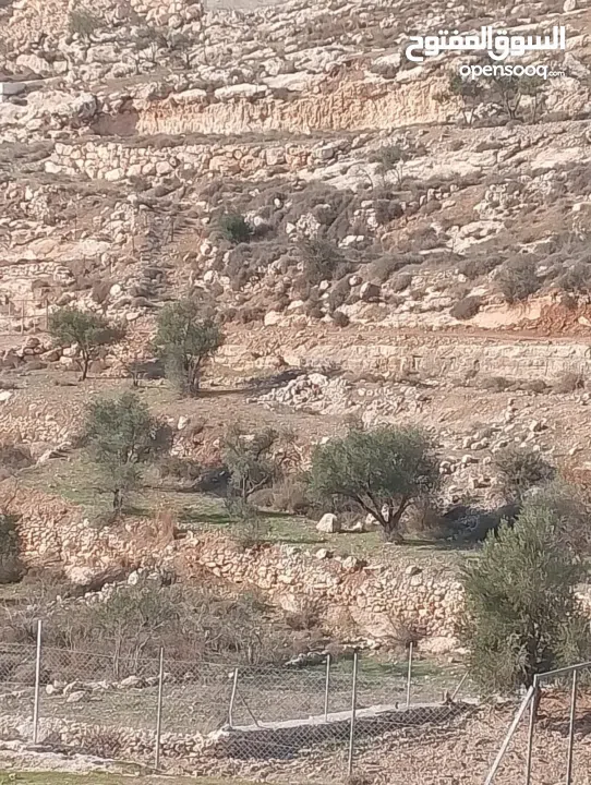 قطعة ارض للبيع