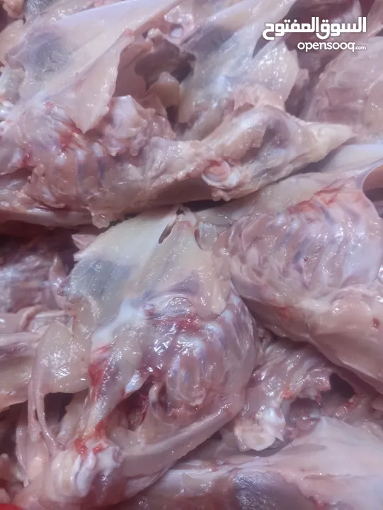 طعام قطط للبيع