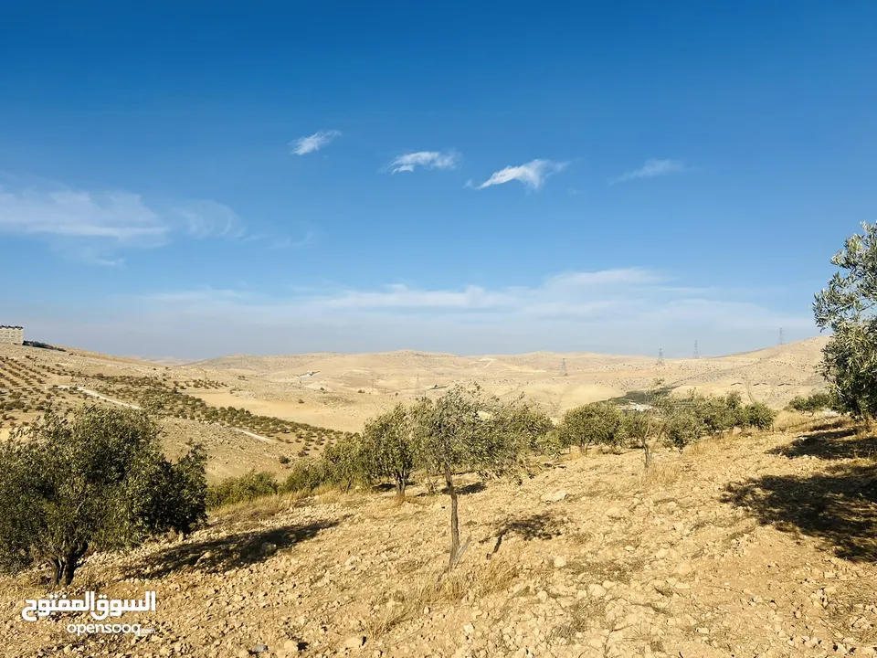 بسم الله الرحمن الرحيم  ارض للبيع في صروت مساحه 3531م3 جميع الخدمات ثاني قطعه عن شارع الرئيسي