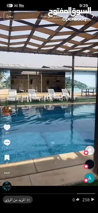 ابو وائل عليوي