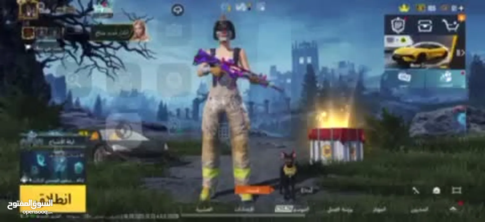 بيع حساب ببجي نوادر