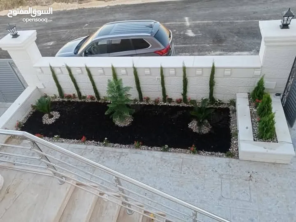 نجيل طبيعي ونجيل ديكوندرا