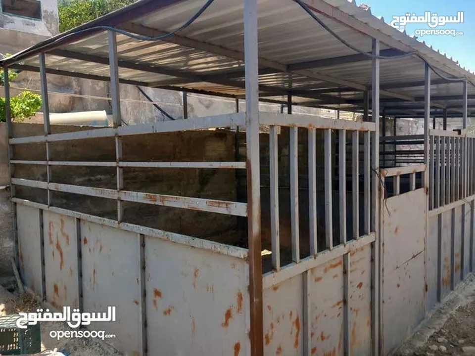 غرف خيل حديد