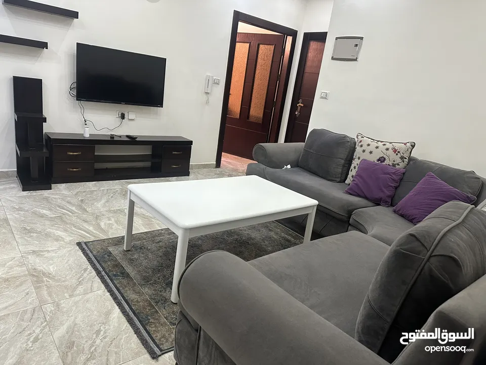 Furnished apartment for rent near ICS