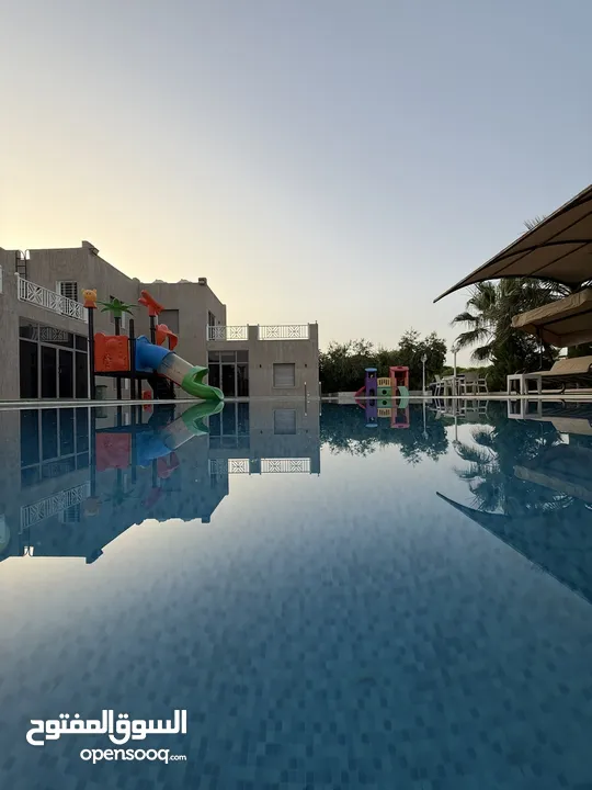 مزرعة نخيل مجهول مثمر ومنتج  + شاليه مودرن للبيع بأجمل مناطق الغور بالقرب من سد الكرامة 60 ك من عمان
