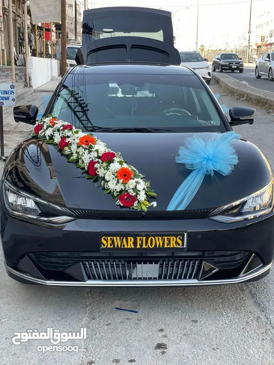 سيارات للاجار