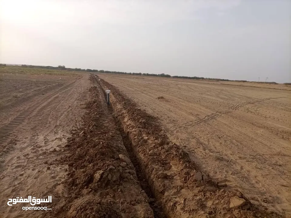 مزرعة للبيع في الحديدة مديرية الزهره حاجه فاخر من الاخر  منهوا طايع والديه