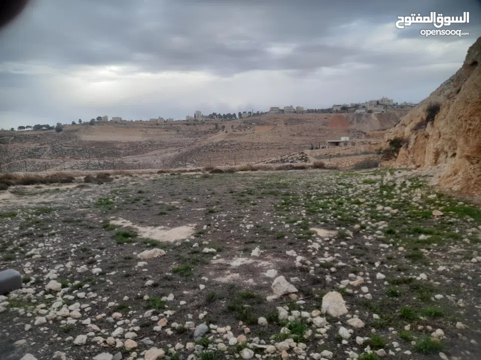 1800 م ارض طابو A الخليل دورا خرسه